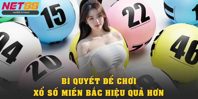 Khám Phá Xổ Số Miền Bắc Tại Net88 Từ A – Z Cho Người Mới 4 Bí quyết để chơi xổ số miền Bắc hiệu quả hơn