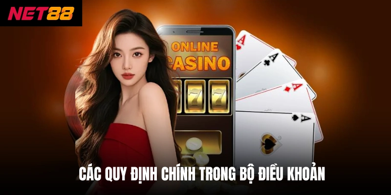 Điều Khoản Và Điều Kiện - Net88 Bảo Vệ Người Chơi Nghiêm Ngặt 2 Các quy định chính trong bộ điều khoản