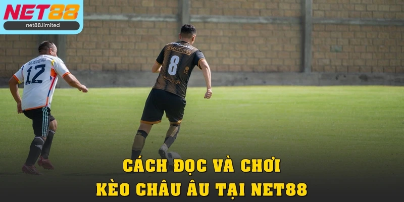 Bí Quyết Bắt Kèo Châu Âu Từ A - Z Cho Người Mới Tại Net88 3 Cách đọc và chơi kèo châu Âu tại Net88