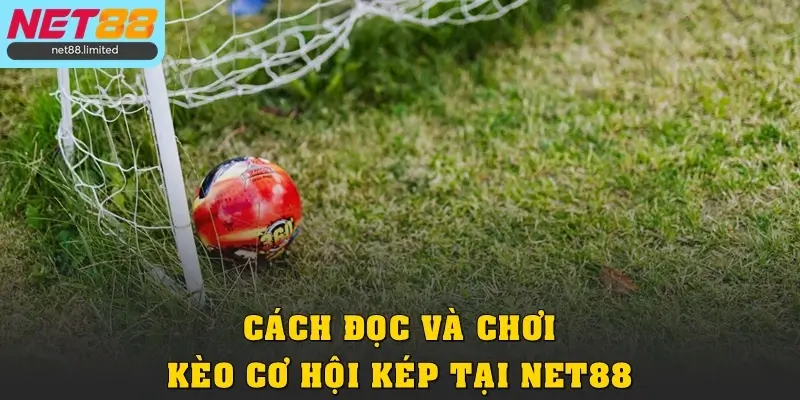Hướng Dẫn Kèo Cơ Hội Kép Từ A - Z Cho Người Mới Cá Cược 3 Cách đọc và chơi kèo cơ hội kép tại Net88