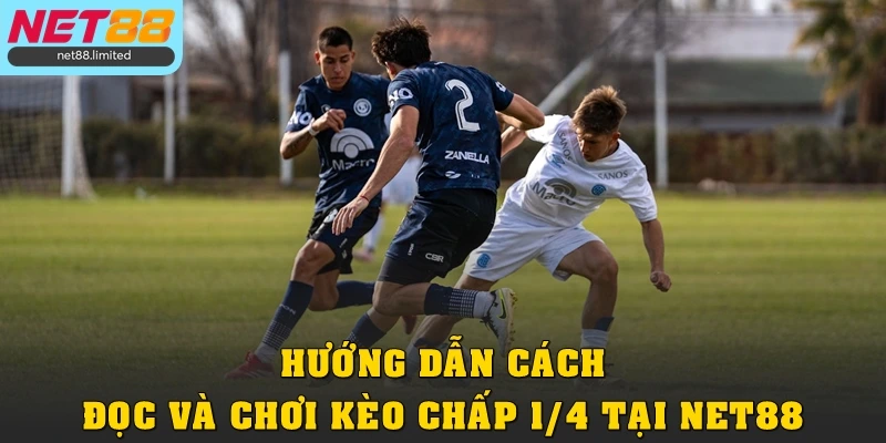 Kèo Đồng Nửa Trong Bóng Đá: Hiểu Đúng Để Đặt Cược Hiệu Quả 3 Hướng dẫn cách đọc và chơi kèo chấp 1/4 tại Net88