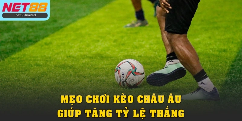 Bí Quyết Bắt Kèo Châu Âu Từ A - Z Cho Người Mới Tại Net88 4 Mẹo chơi kèo châu Âu giúp tăng tỷ lệ thắng